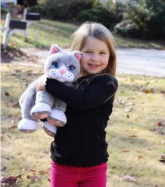 Chloe the Comfort Cat