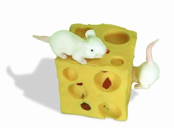 Stretchy Mice and Cheese