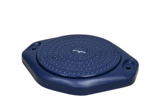 Stand and Twist Rotating Disk