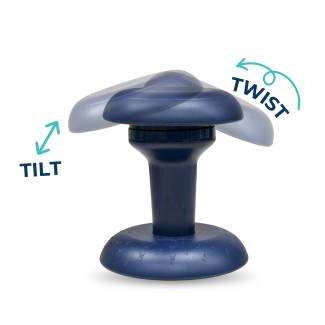 Wobble and Twist Stool